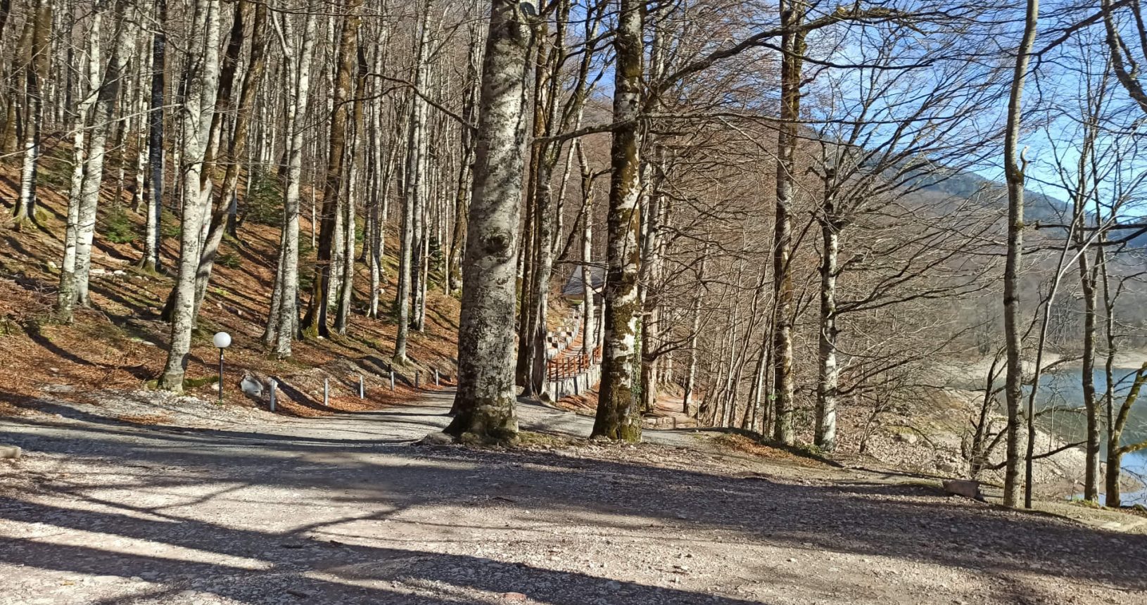 The road for hiking around the lake National Park Biogradska Gora