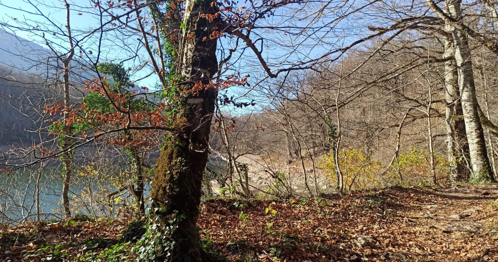 Very beautiful November tee at National Park Biogradska Gora