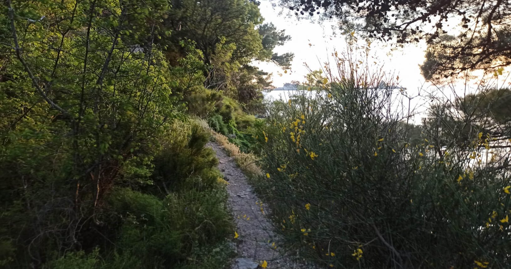 Small trail next to Hiking trail Luchice Buljarica