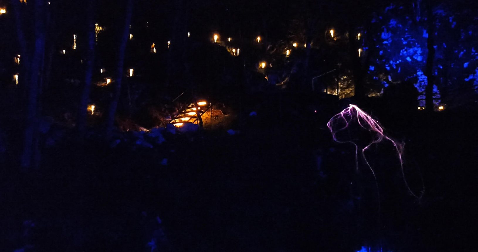 Dark night lights lightland park