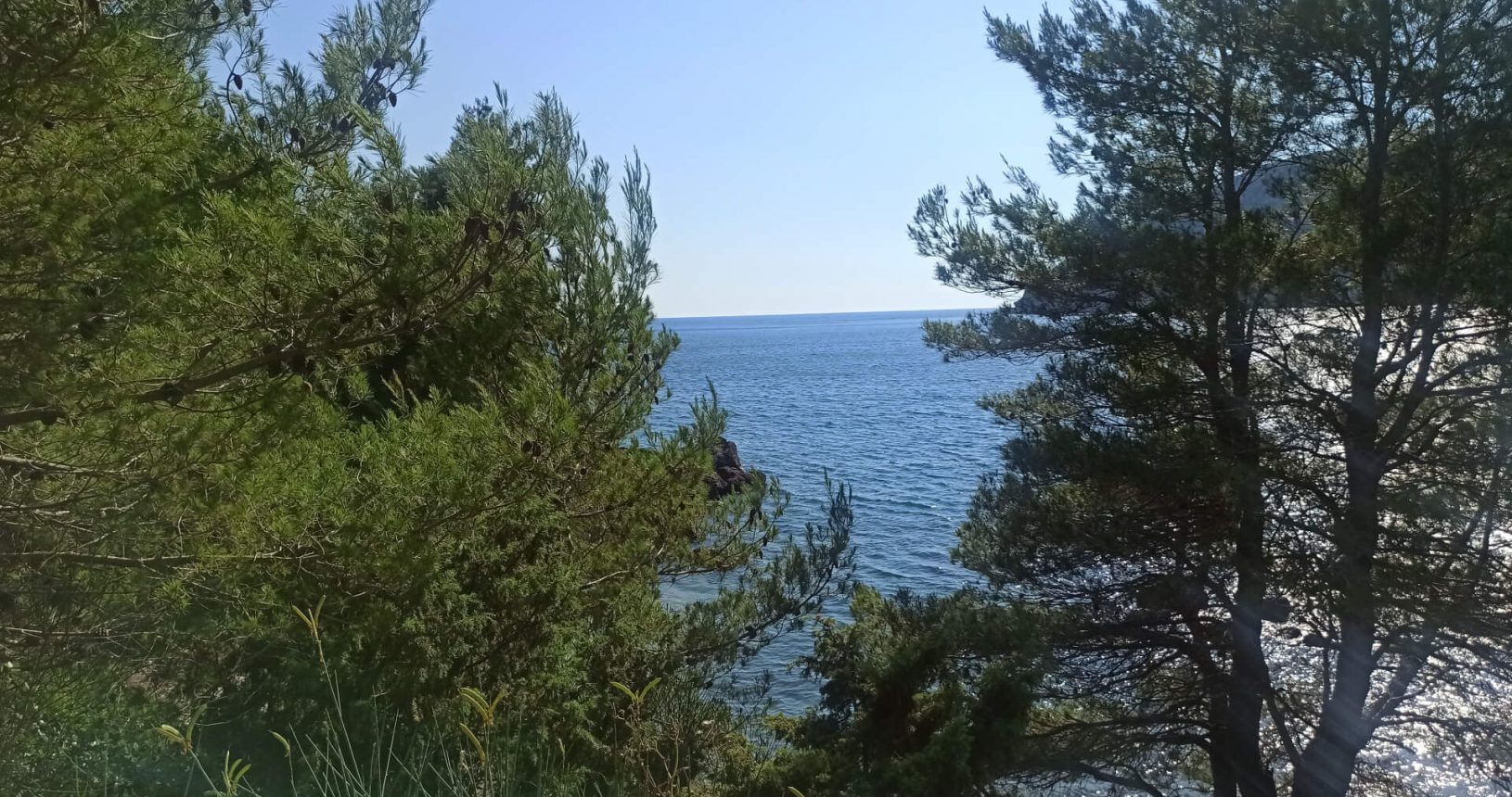 Green trees above Little Maljevik Beach
