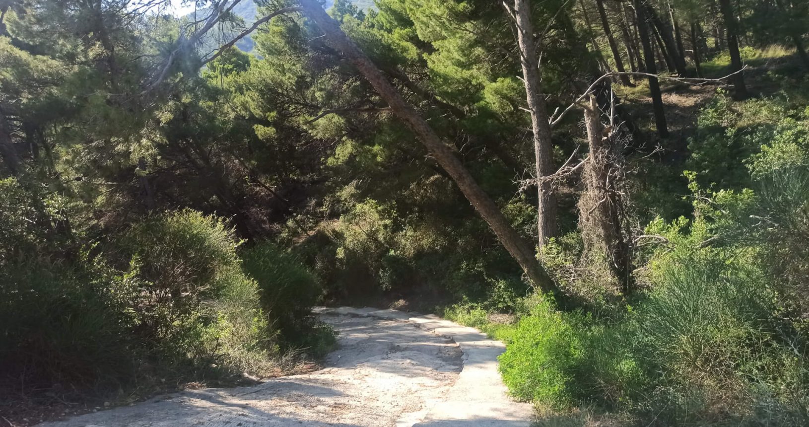 Hiking trail to Maljevik Beach