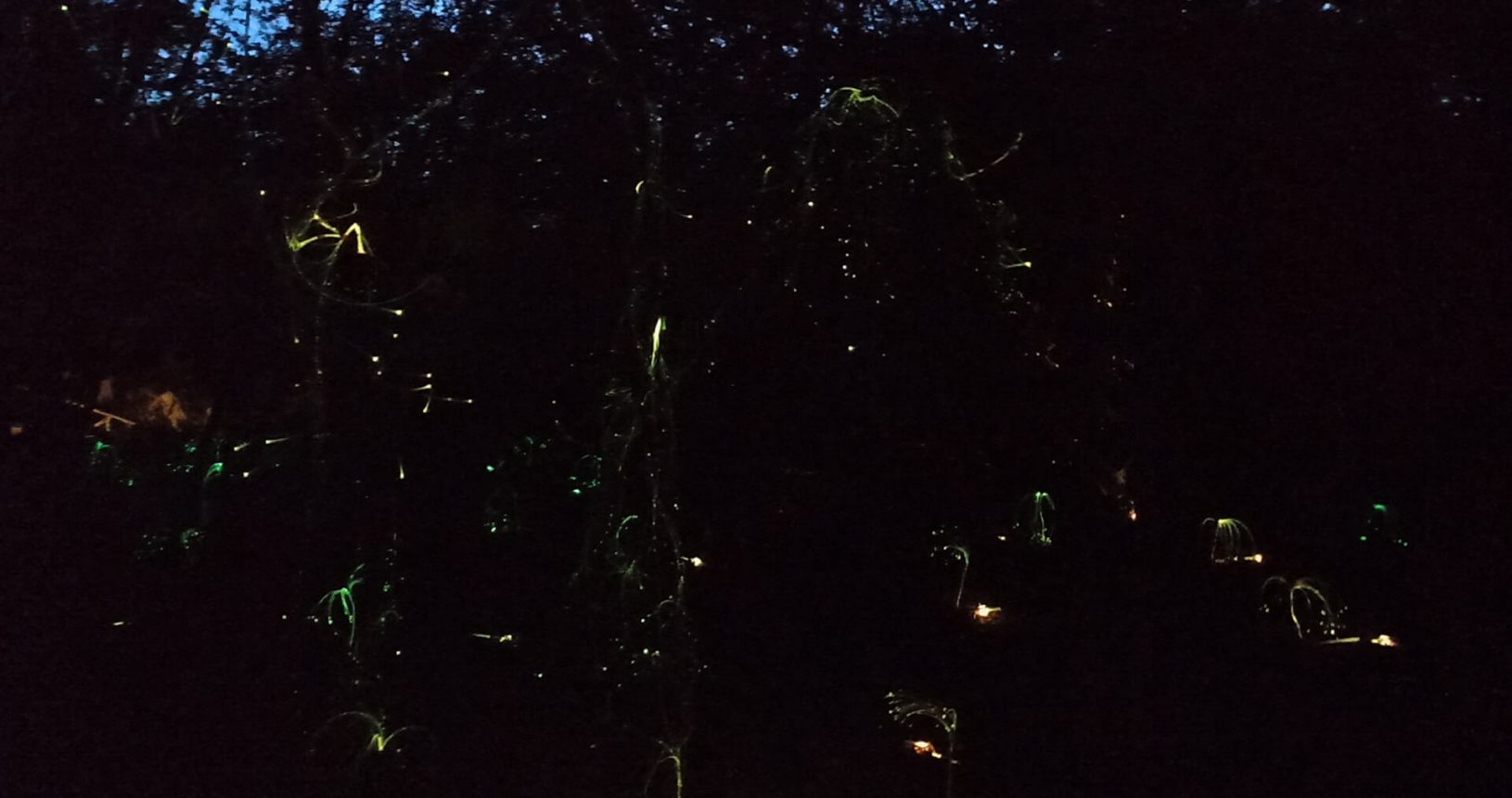 Lights at dark area of Lightland park