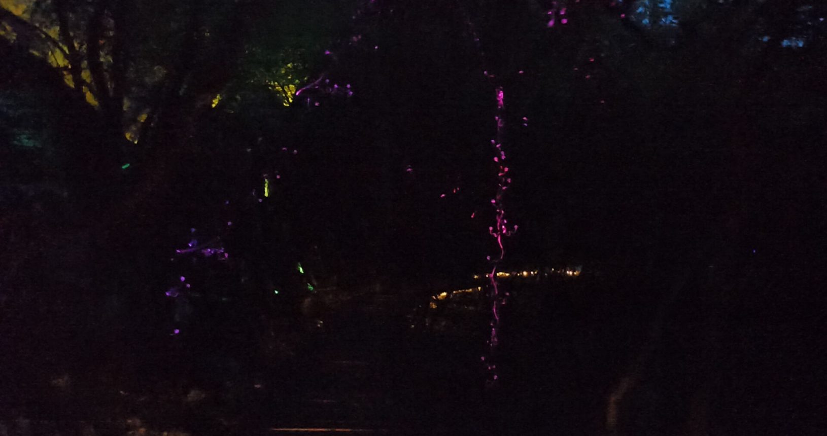 Lights in the dark lightland park