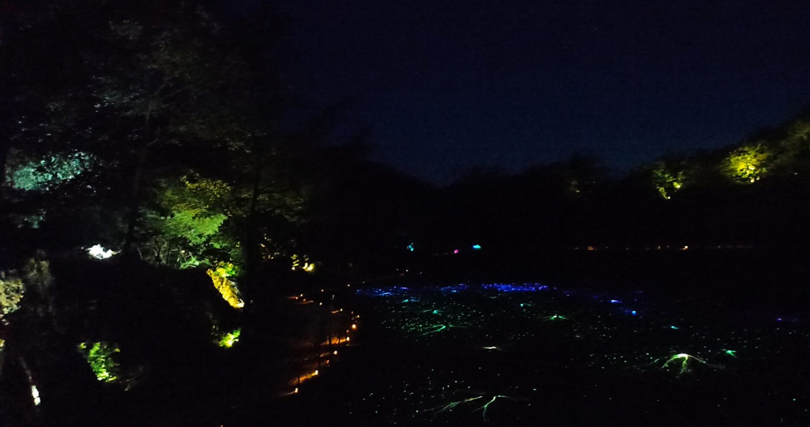 Night field with lights at Lightland park