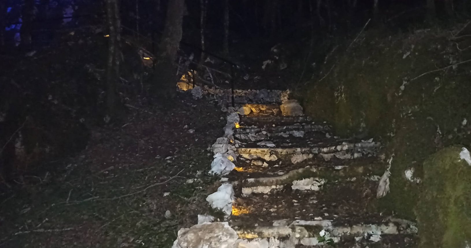 Stony stairs in the forest at lightland park
