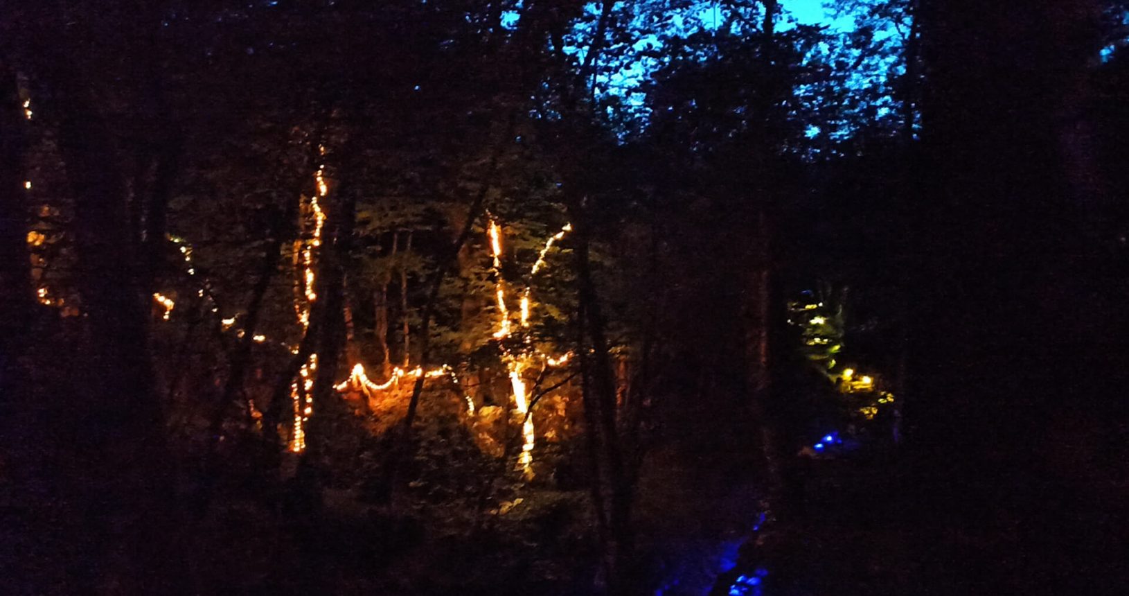 Tender lights lightland park