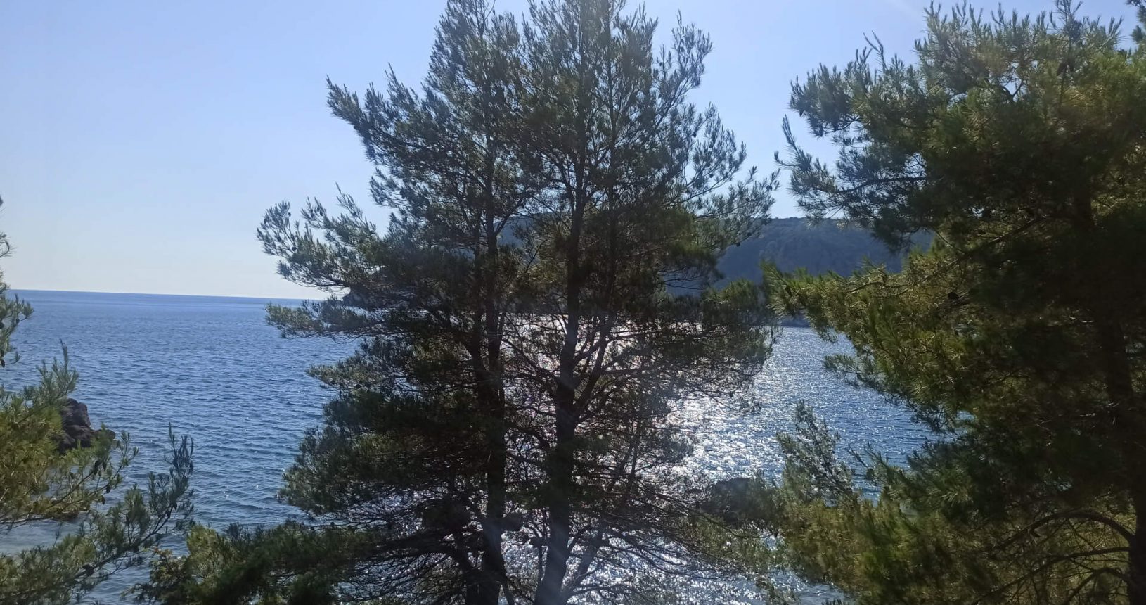 The view to Little Maljevik Beach through the trees