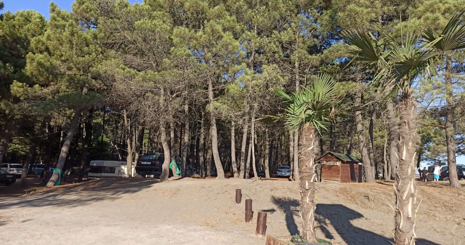 Europa Beach forest parking