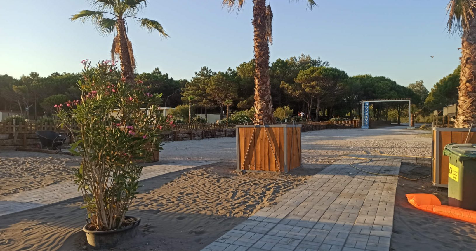 Territory with palms behind beach bar at Hills Beach