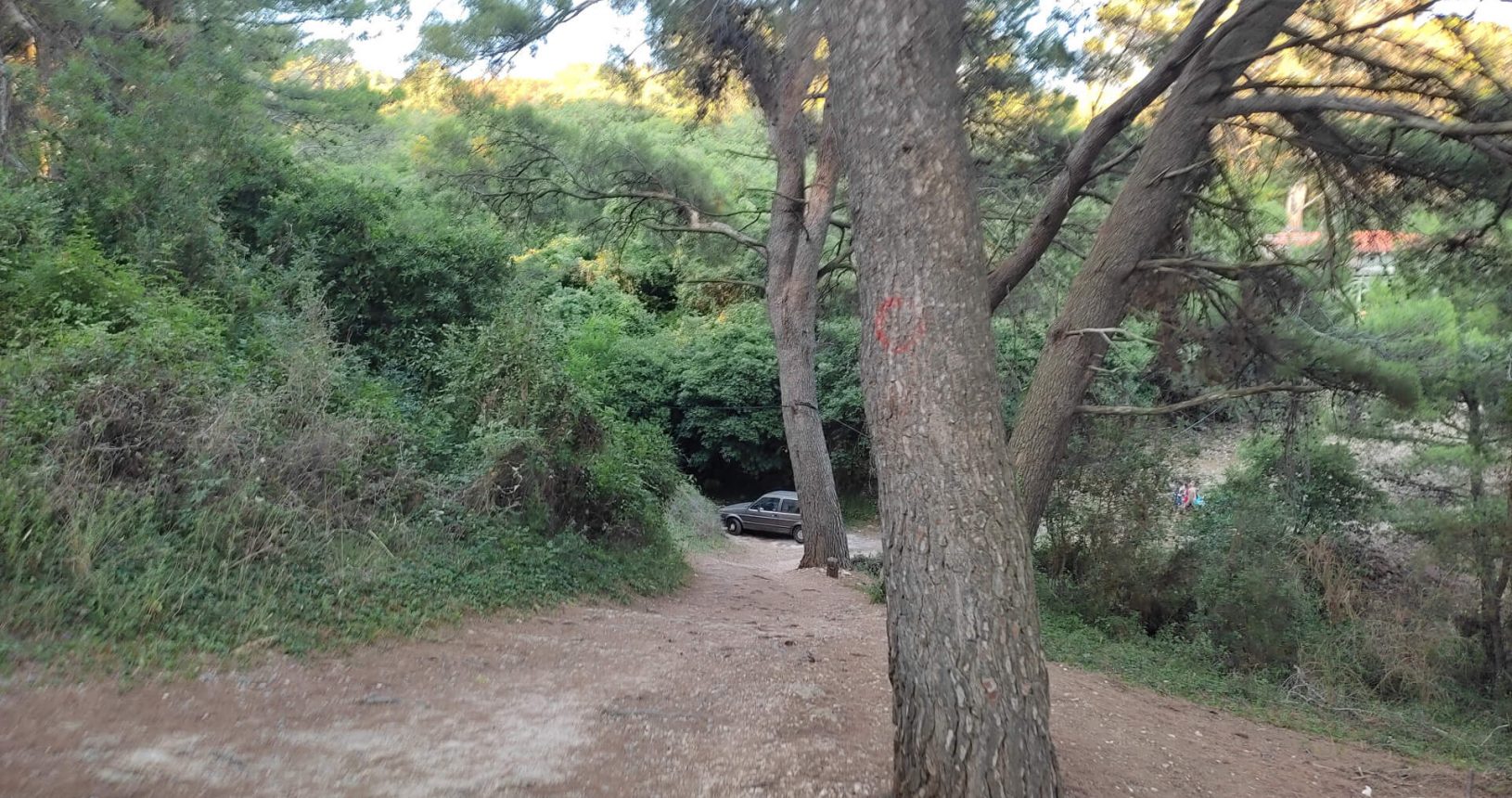 Car in the forest at Ulcinj hiking trail
