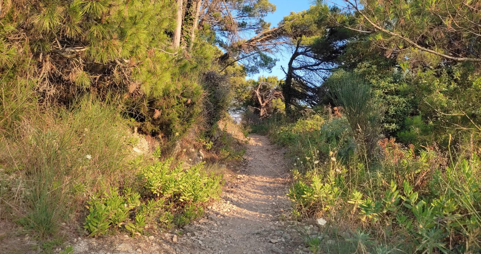 Cozy Ulcinj hiking trail