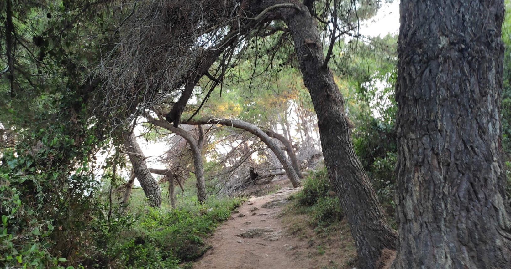 Cozy Ulcinj hiking trail under the trees