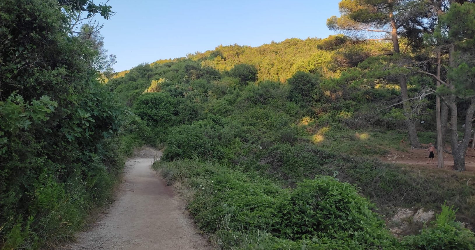 Cozy green Ulcinj hiking trail