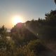 Sunlight highlights Ulcinj hiking trail