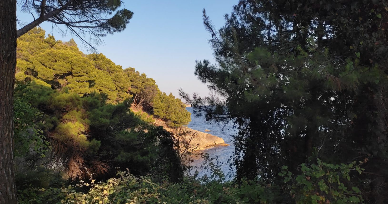 Ulcinj hiking trail coastline from between trees