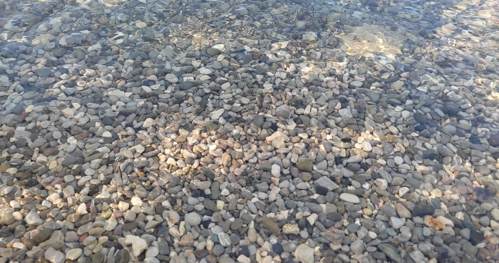 Kotor-Natural-Beach-stones-at-perfectly-transparent-sea