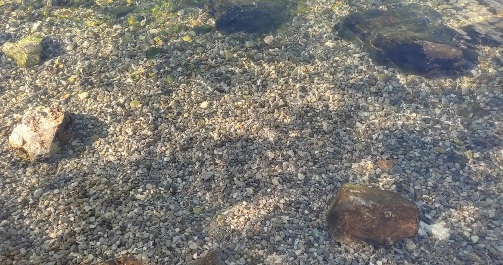 Stones-at-transparent-sea-at-Kotor-Natural-Beach