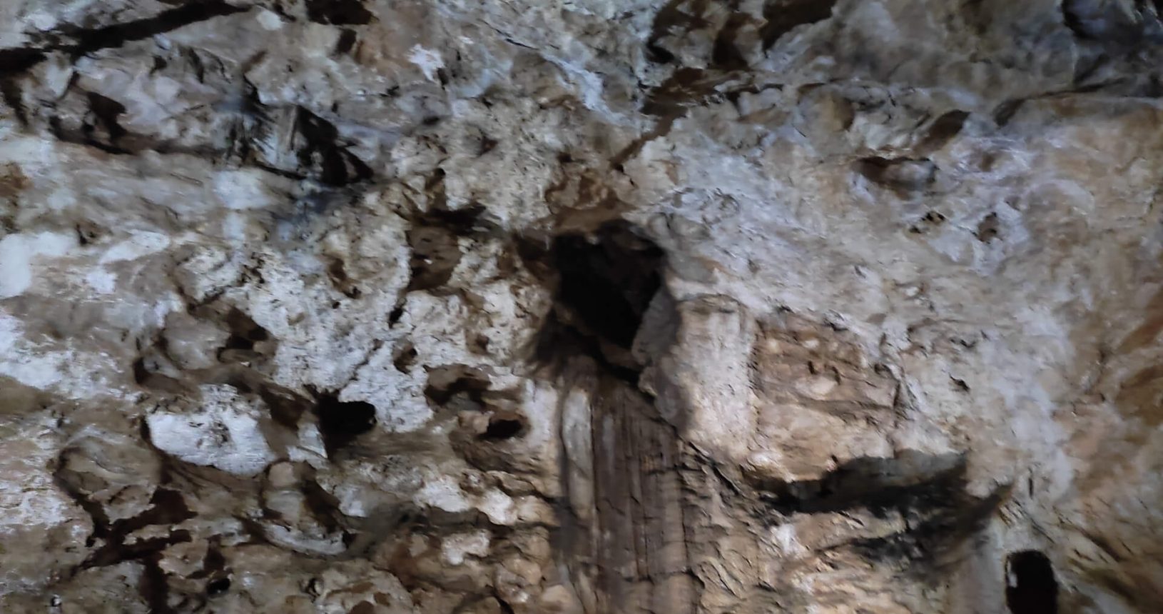 Lipa Cave and its holes