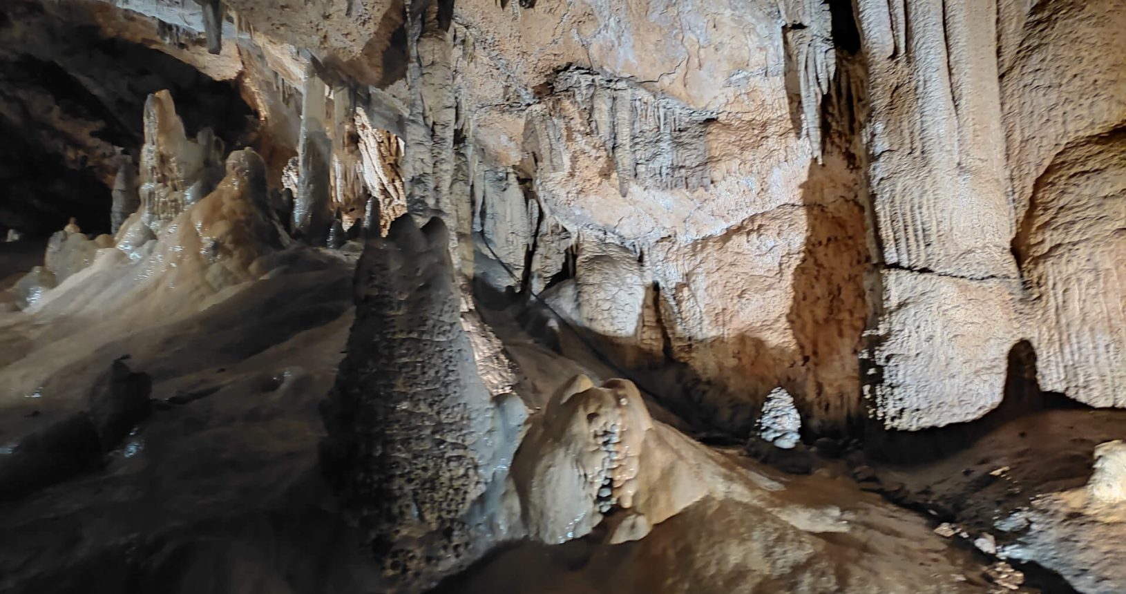 Massive creatures in Lipa Cave