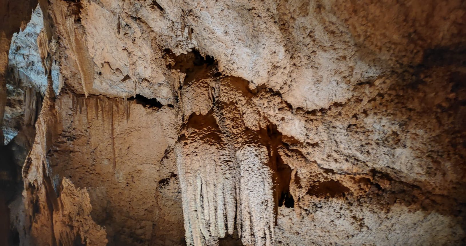 Natural beautiful Lipa Cave creatures