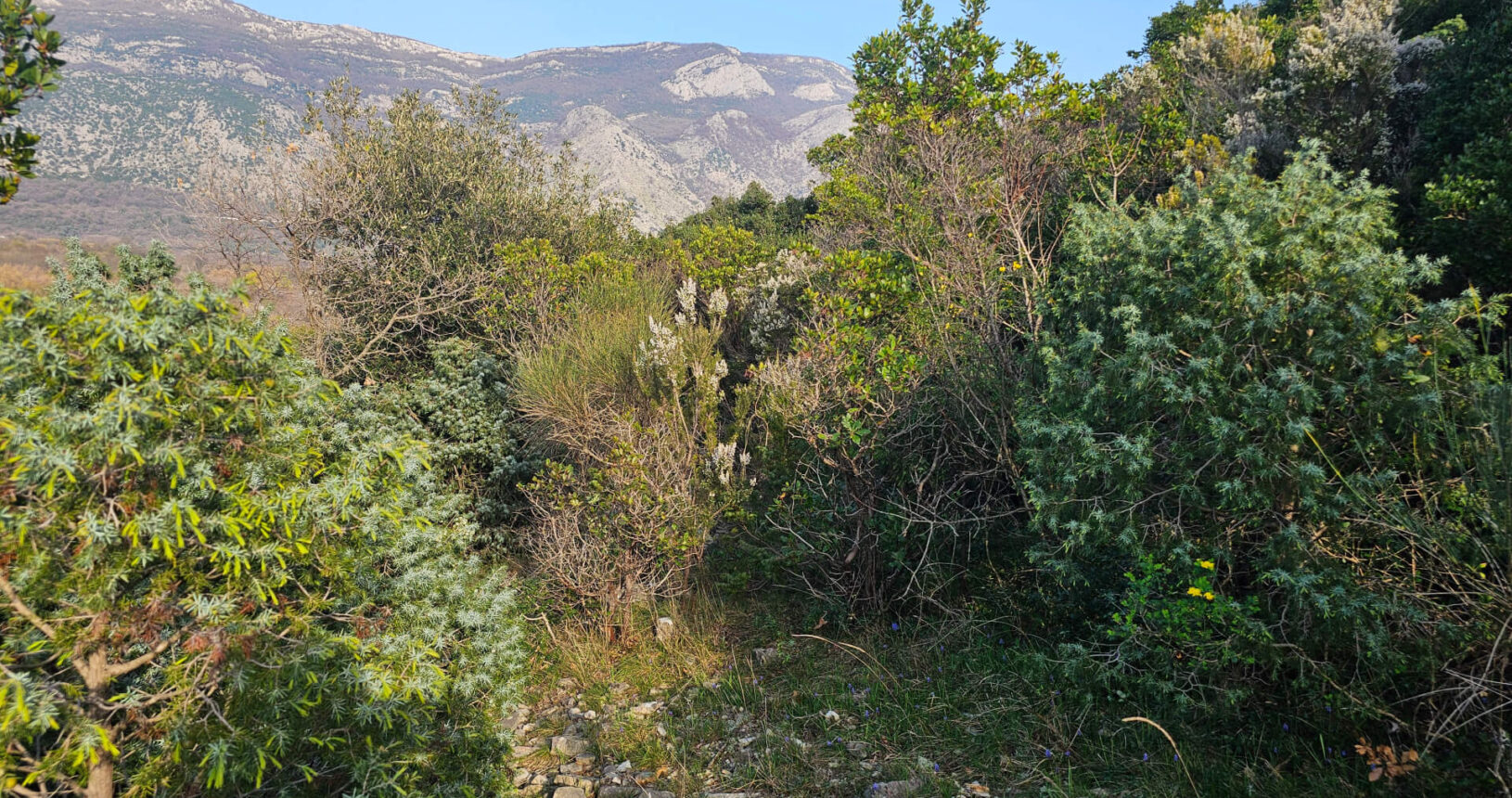 Park prirode Katic beautiful nature