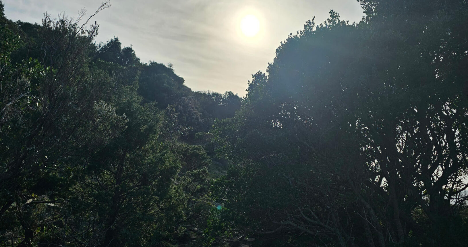 Park prirode Katic pure nature