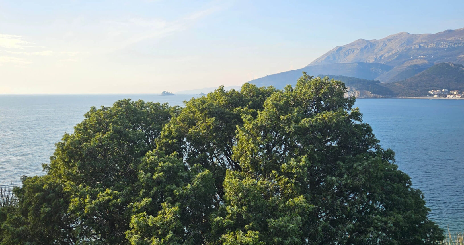 Park prirode Katic trees and sea