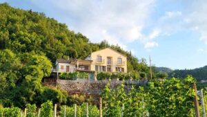 rustichouselecovic